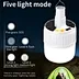 solar Camping light
